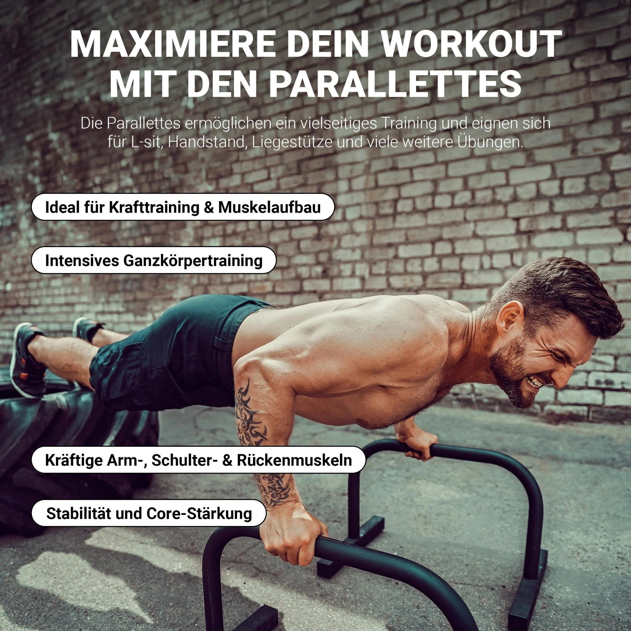 Vorschaubild 6