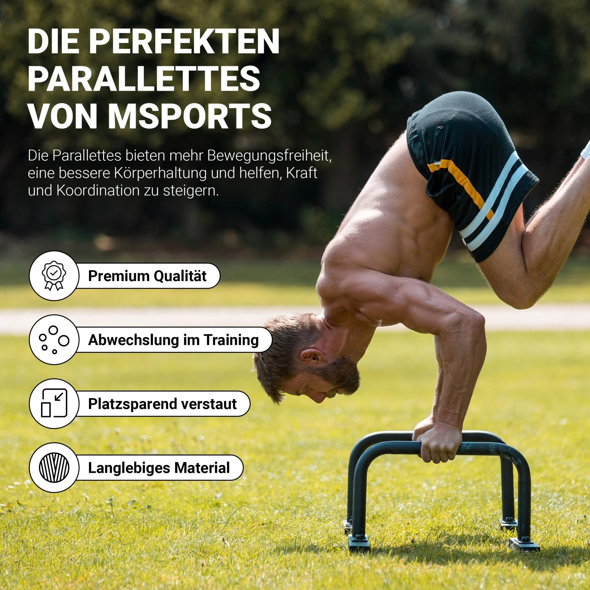 Vorschaubild 7