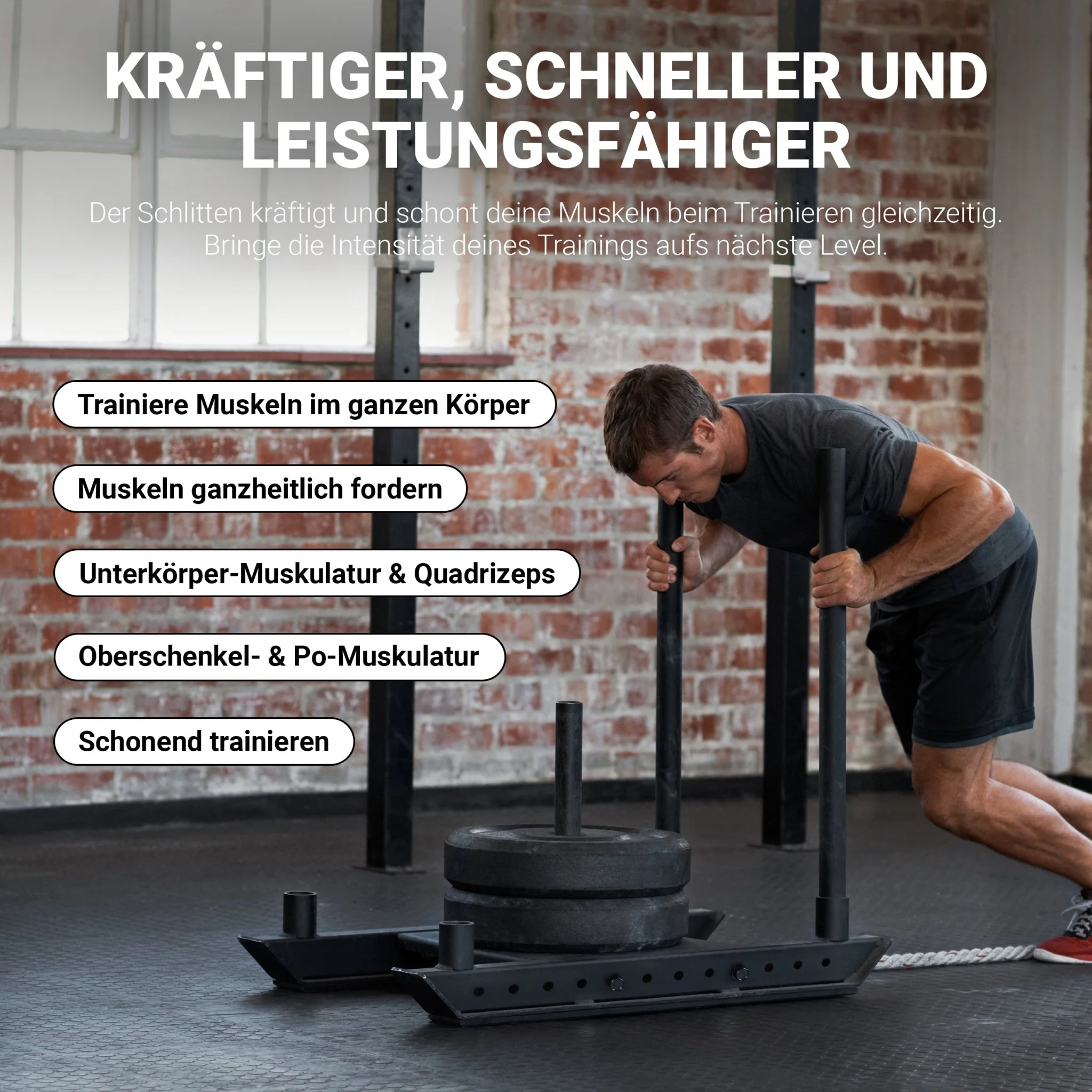 Vorschaubild 6